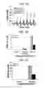 Fig. 11 - NITRITE AND NITRITE-METHEME THERAPY TO DETOXIFY STROMA-FREE HEMOGLOBIN BASED BLOOD SUBSTITUTES