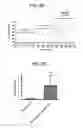 Fig. 13 - NITRITE AND NITRITE-METHEME THERAPY TO DETOXIFY STROMA-FREE HEMOGLOBIN BASED BLOOD SUBSTITUTES