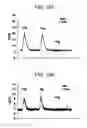 Fig. 22 - NITRITE AND NITRITE-METHEME THERAPY TO DETOXIFY STROMA-FREE HEMOGLOBIN BASED BLOOD SUBSTITUTES