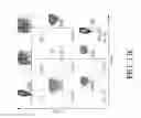 Fig. 27 - Genetic engineering of macrophages for immunotherapy