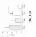 Fig. 28 - Genetic engineering of macrophages for immunotherapy