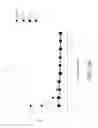 Fig. 48 - Genetic engineering of macrophages for immunotherapy
