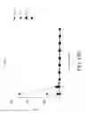Fig. 64 - Genetic engineering of macrophages for immunotherapy