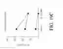 Fig. 77 - Genetic engineering of macrophages for immunotherapy