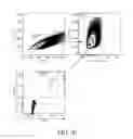 Fig. 84 - Genetic engineering of macrophages for immunotherapy