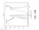 Fig. 87 - Genetic engineering of macrophages for immunotherapy