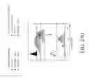 Fig. 97 - Genetic engineering of macrophages for immunotherapy