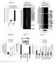 Fig. 02 - Compositions and methods for treating type 1 and type 2 diabetes and related disorders