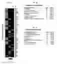 Fig. 03 - Compositions and methods for treating type 1 and type 2 diabetes and related disorders