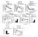 Fig. 08 - Compositions and methods for treating type 1 and type 2 diabetes and related disorders