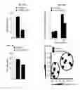 Fig. 11 - Compositions and methods for treating type 1 and type 2 diabetes and related disorders