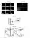 Fig. 20 - Compositions and methods for treating type 1 and type 2 diabetes and related disorders