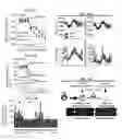 Fig. 24 - Compositions and methods for treating type 1 and type 2 diabetes and related disorders