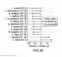 Fig. 06 - METHODS AND COMPOSITIONS FOR REDUCING CLOSTRIDIUM DIFFICILE INFECTION