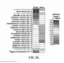 Fig. 10 - METHODS AND COMPOSITIONS FOR REDUCING CLOSTRIDIUM DIFFICILE INFECTION