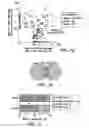 Fig. 13 - METHODS AND COMPOSITIONS FOR REDUCING CLOSTRIDIUM DIFFICILE INFECTION