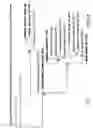 Fig. 16 - METHODS AND COMPOSITIONS FOR REDUCING CLOSTRIDIUM DIFFICILE INFECTION