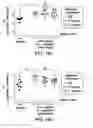 Fig. 27 - METHODS AND COMPOSITIONS FOR REDUCING CLOSTRIDIUM DIFFICILE INFECTION