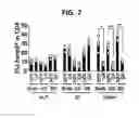 Fig. 06 - Composition for inducing proliferation or accumulation of regulatory T cells