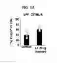 Fig. 09 - Composition for inducing proliferation or accumulation of regulatory T cells