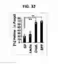 Fig. 23 - Composition for inducing proliferation or accumulation of regulatory T cells