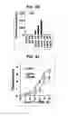 Fig. 28 - Composition for inducing proliferation or accumulation of regulatory T cells