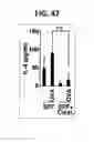 Fig. 32 - Composition for inducing proliferation or accumulation of regulatory T cells
