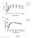 Fig. 07 - Method for treating or enhancing muscle tissue