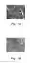 Fig. 02 - GREEN TEA EXTRACT COMPOSITION FOR HEPATIC FIBROSIS AND METHOD OF MAKING THE SAME