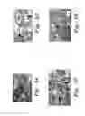 Fig. 03 - GREEN TEA EXTRACT COMPOSITION FOR HEPATIC FIBROSIS AND METHOD OF MAKING THE SAME