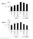 Fig. 12 - Inflammation inhibiting compounds