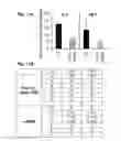 Fig. 14 - Inflammation inhibiting compounds