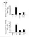 Fig. 17 - Inflammation inhibiting compounds