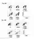 Fig. 20 - Inflammation inhibiting compounds