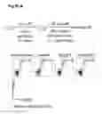 Fig. 31 - Inflammation inhibiting compounds