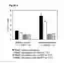 Fig. 40 - Inflammation inhibiting compounds