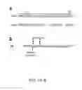 Fig. 06 - Syndecan peptides and polypeptides and uses thereof