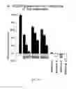 Fig. 12 - Syndecan peptides and polypeptides and uses thereof