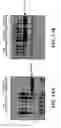 Fig. 08 - Composition for improving skin conditions comprising a fragment of human heat shock protein 90A as an active ingredient