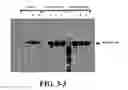 Fig. 10 - Composition for improving skin conditions comprising a fragment of human heat shock protein 90A as an active ingredient