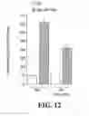 Fig. 22 - Composition for improving skin conditions comprising a fragment of human heat shock protein 90A as an active ingredient