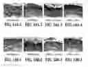 Fig. 24 - Composition for improving skin conditions comprising a fragment of human heat shock protein 90A as an active ingredient
