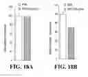 Fig. 28 - Composition for improving skin conditions comprising a fragment of human heat shock protein 90A as an active ingredient