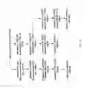 Fig. 74 - COMPOSITIONS AND METHODS FOR TREATING COLLAGEN-MEDIATED DISEASES