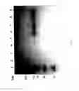 Fig. 84 - COMPOSITIONS AND METHODS FOR TREATING COLLAGEN-MEDIATED DISEASES