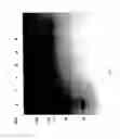 Fig. 86 - COMPOSITIONS AND METHODS FOR TREATING COLLAGEN-MEDIATED DISEASES