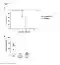Fig. 03 - Medicament for use in a method of inducing or extending a cellular cytotoxic immune response