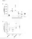 Fig. 04 - Medicament for use in a method of inducing or extending a cellular cytotoxic immune response