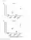 Fig. 08 - Medicament for use in a method of inducing or extending a cellular cytotoxic immune response