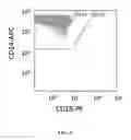 Fig. 06 - Compositions and methods for producing dendritic cells